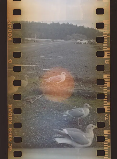 Adapter Chuyển Đổi Phim 35mm Sang 120 - Không Cần Hỗ Trợ - Image 5