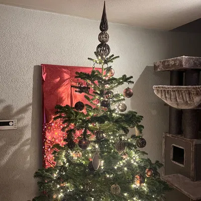 Chóp Đỉnh Cây Thông Noel