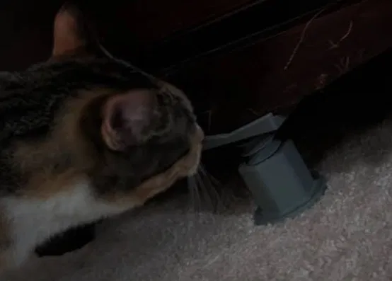 Chân Vít Chặn Roomba - Image 2