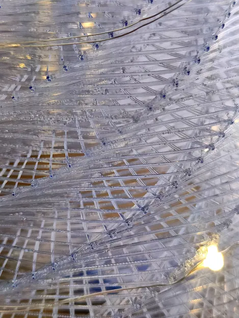 Cây Thông Noel Quỹ Đạo - Image 3