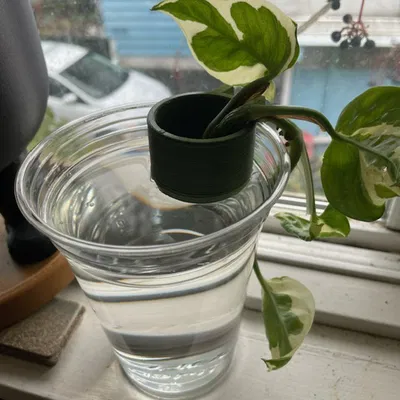 Chậu Ươm Hạt Mini