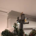Chóp Cây Thông Noel Hình Dickbutt Thiên Thần - Thumbnail 4