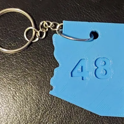 Móc Khóa Tiểu Bang Arizona Số 48