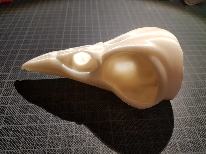 Đầu Lâu Quạ - Raven Skull - Image 2