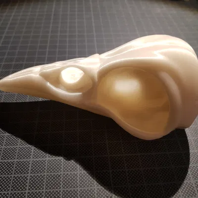 Đầu Lâu Quạ - Raven Skull