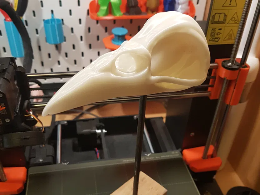 Đầu Lâu Quạ - Raven Skull - Image 3