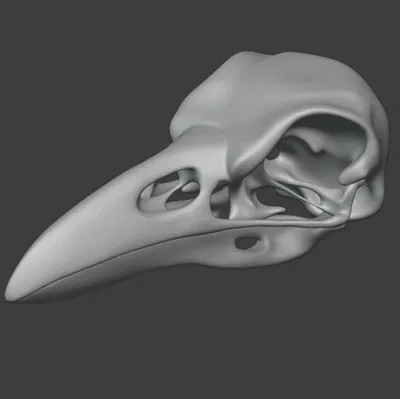 Đầu Lâu Quạ Không Cần Đế Đỡ STL