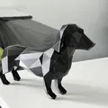 Mô hình Chó Dachshund Low Poly - Thumbnail 1