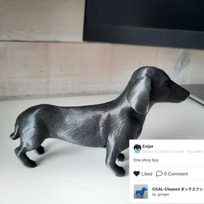CGAL-Xử Lý Sạch Chó Dachshund (Dachshund)