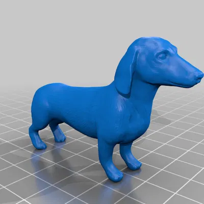 CGAL-Xử Lý Sạch Chó Dachshund (Dachshund)