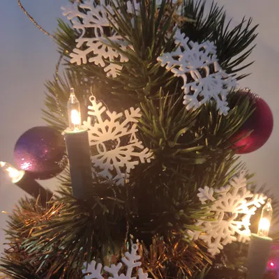 Trang trí Giáng sinh