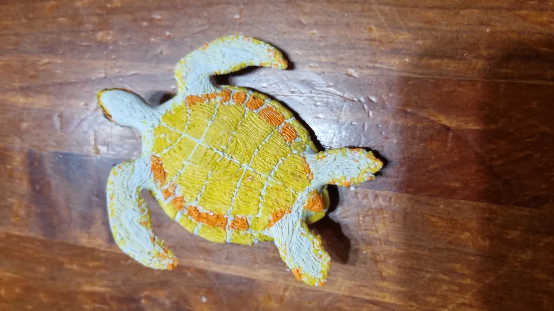 Rùa Biển bởi Simonarri - Image 6