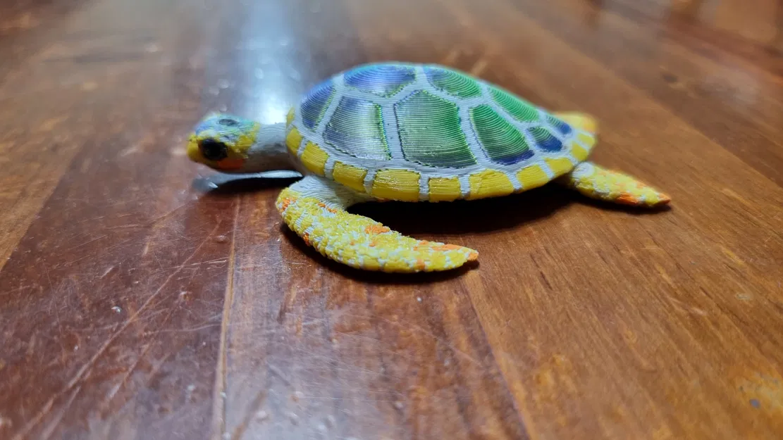 Rùa Biển bởi Simonarri - Image 7