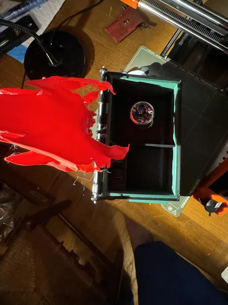 Trash Panda Fire - Gấu Trúc Phun Lửa - Image 2