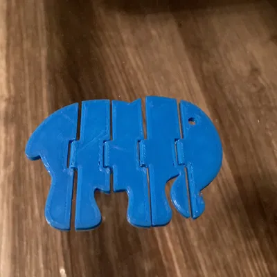 Flexi-Ellie: Con Voi Rắn Đầu Tiên Trên Thế Giới