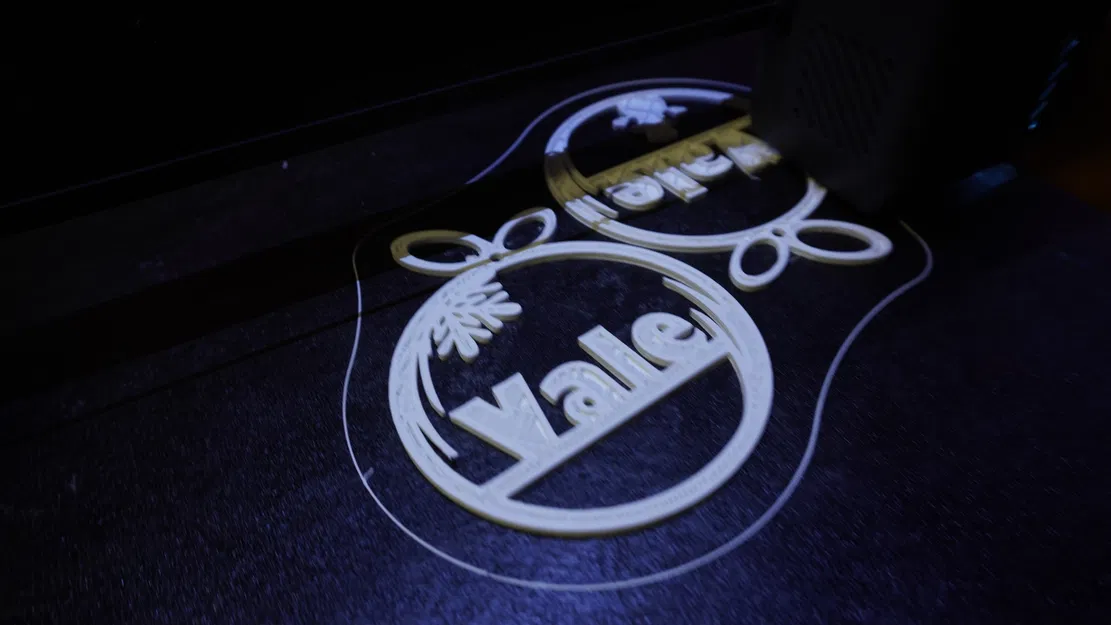 Trái Châu Noel Có Tên - Image 2