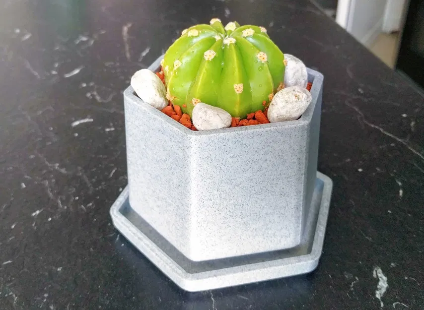 Chậu Hoa Nhỏ Có Khay Hứng Nước - Image 1