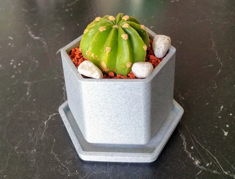 Chậu Hoa Nhỏ Có Khay Hứng Nước - Image 3