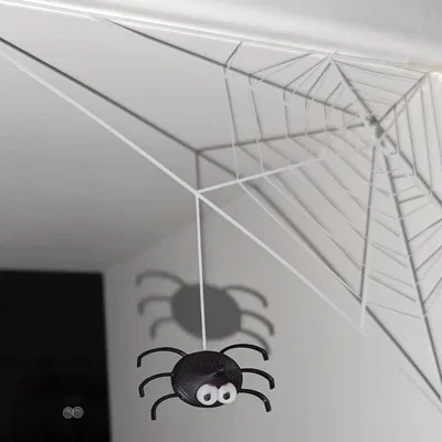 Nhện Ibáñez - Mô hình 3D độc đáo