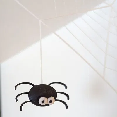 Nhện Ibáñez - Mô hình 3D độc đáo