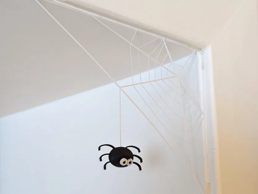 Nhện Ibáñez - Mô hình 3D độc đáo - Image 3