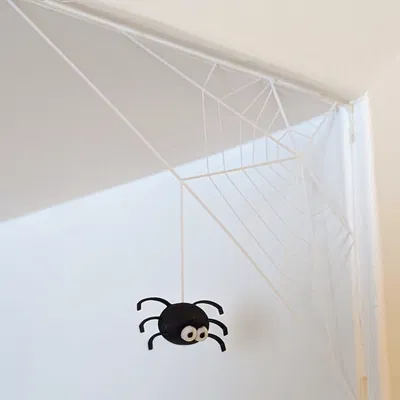 Nhện Ibáñez - Mô hình 3D độc đáo