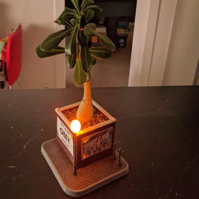 Chậu Trồng Cây Tiểu Cảnh Tường Gạch