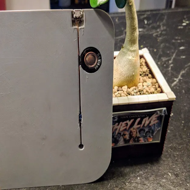 Chậu Trồng Cây Tiểu Cảnh Tường Gạch - Image 8