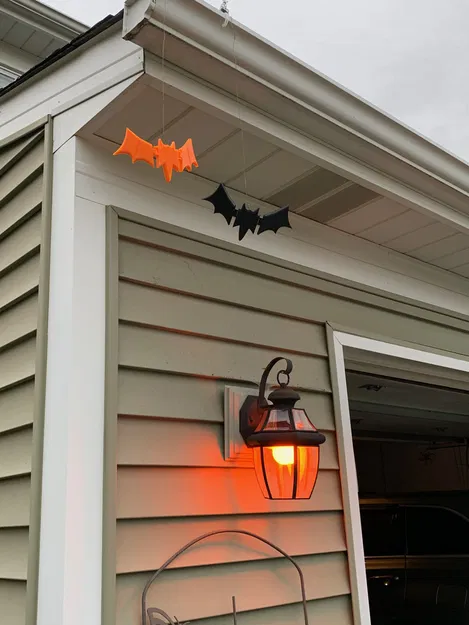 Dơi có bản lề - Image 2