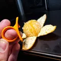 Dụng Cụ Cắt Vỏ Cam Trái Cây - Thumbnail 3