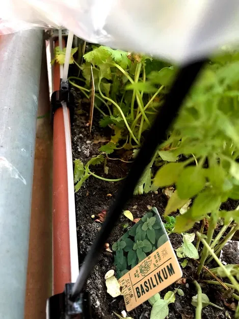 Nhà kính cho chậu cây cảnh - Image 4