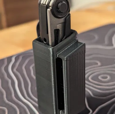 Bao Đựng Gerber Armbar