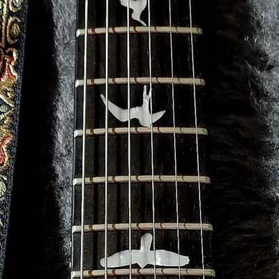 Trang trí hộp đàn Guitar - Phối lại chim PRS