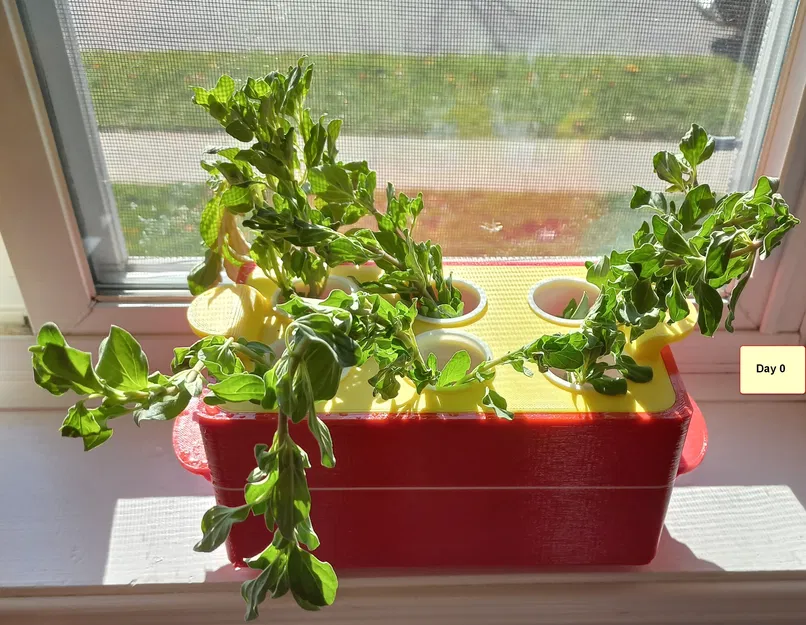 Trạm Giâm Cành "Rooting Station" - Image 3