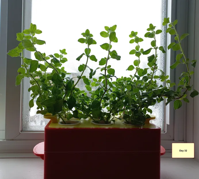 Trạm Giâm Cành "Rooting Station" - Image 4