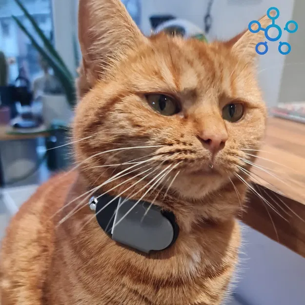 Kẹp Vòng Cổ Mèo Dành Cho SmartTag2 - Image 1