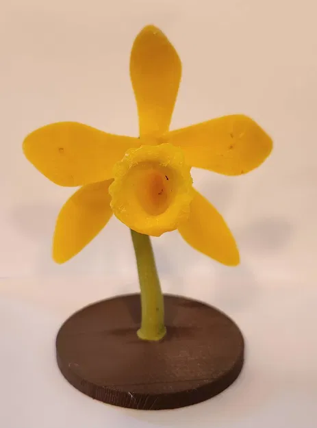 Mô Hình Lan Hồ Điệp Đứng - Image 1