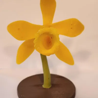 Mô Hình Lan Hồ Điệp Đứng