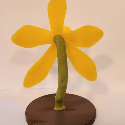 Mô Hình Lan Hồ Điệp Đứng