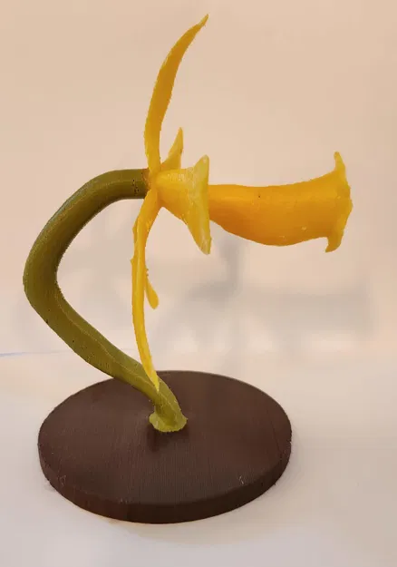 Mô Hình Lan Hồ Điệp Đứng - Image 3