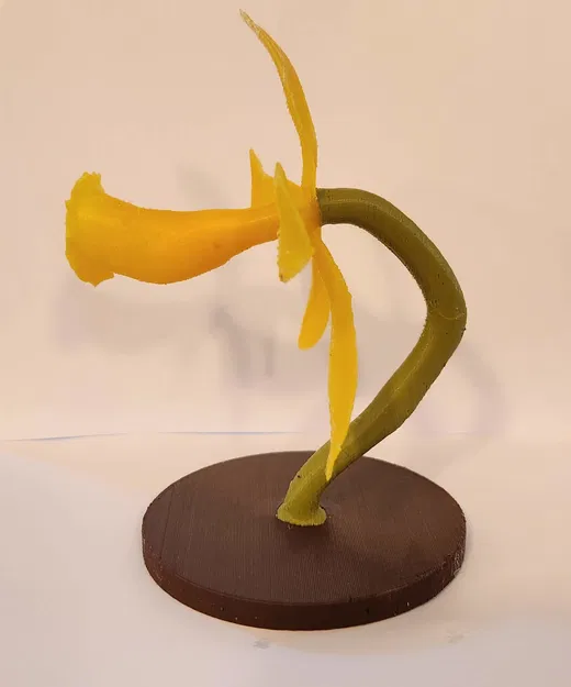 Mô Hình Lan Hồ Điệp Đứng - Image 4