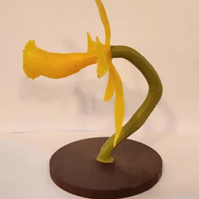 Mô Hình Lan Hồ Điệp Đứng