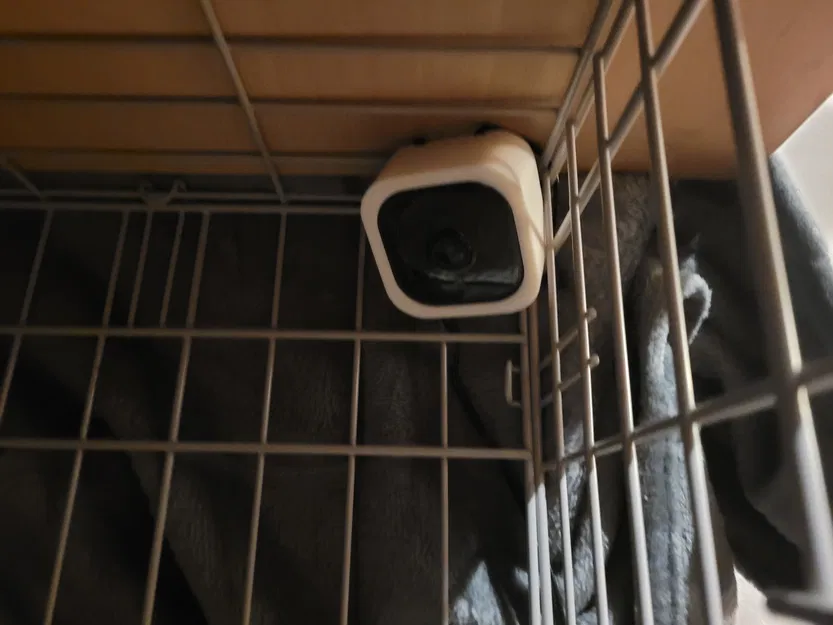 Đế Gắn Camera Tapo C100/TC60 Vào Chuồng Thú Cưng - Image 1