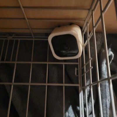 Đế Gắn Camera Tapo C100/TC60 Vào Chuồng Thú Cưng