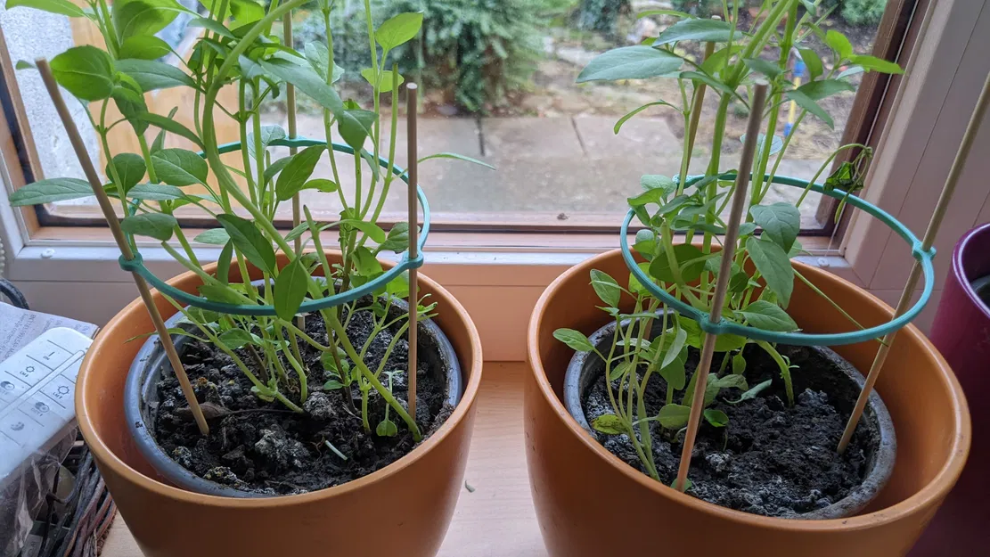 Giá đỡ cây / cây thảo mộc - Image 1