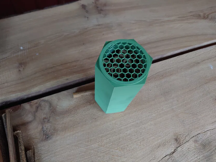 Tổ Ong Đơn Độc - Image 5