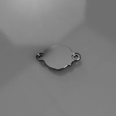 Nắp Cam Seadoo / Động Cơ 4tec