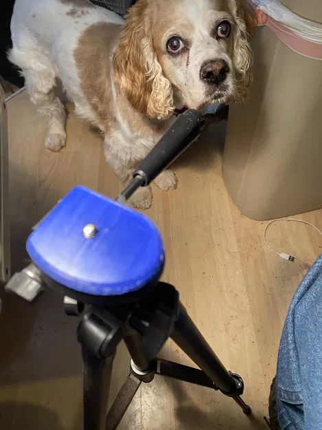 Adapter Tripod Amazon - Image 3