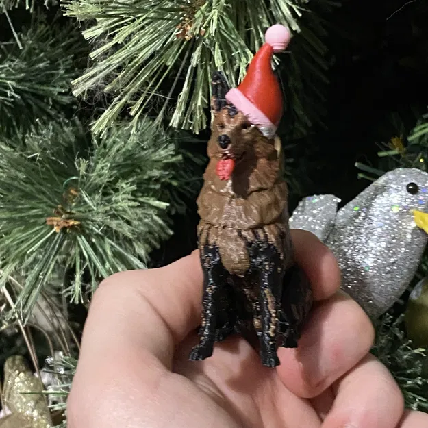 Chó Becgie Đức Đội Mũ Ông Già Noel Mùa Giáng Sinh - Image 2