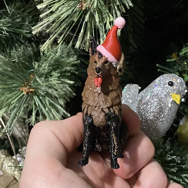 Chó Becgie Đức Đội Mũ Ông Già Noel Mùa Giáng Sinh - Image 3